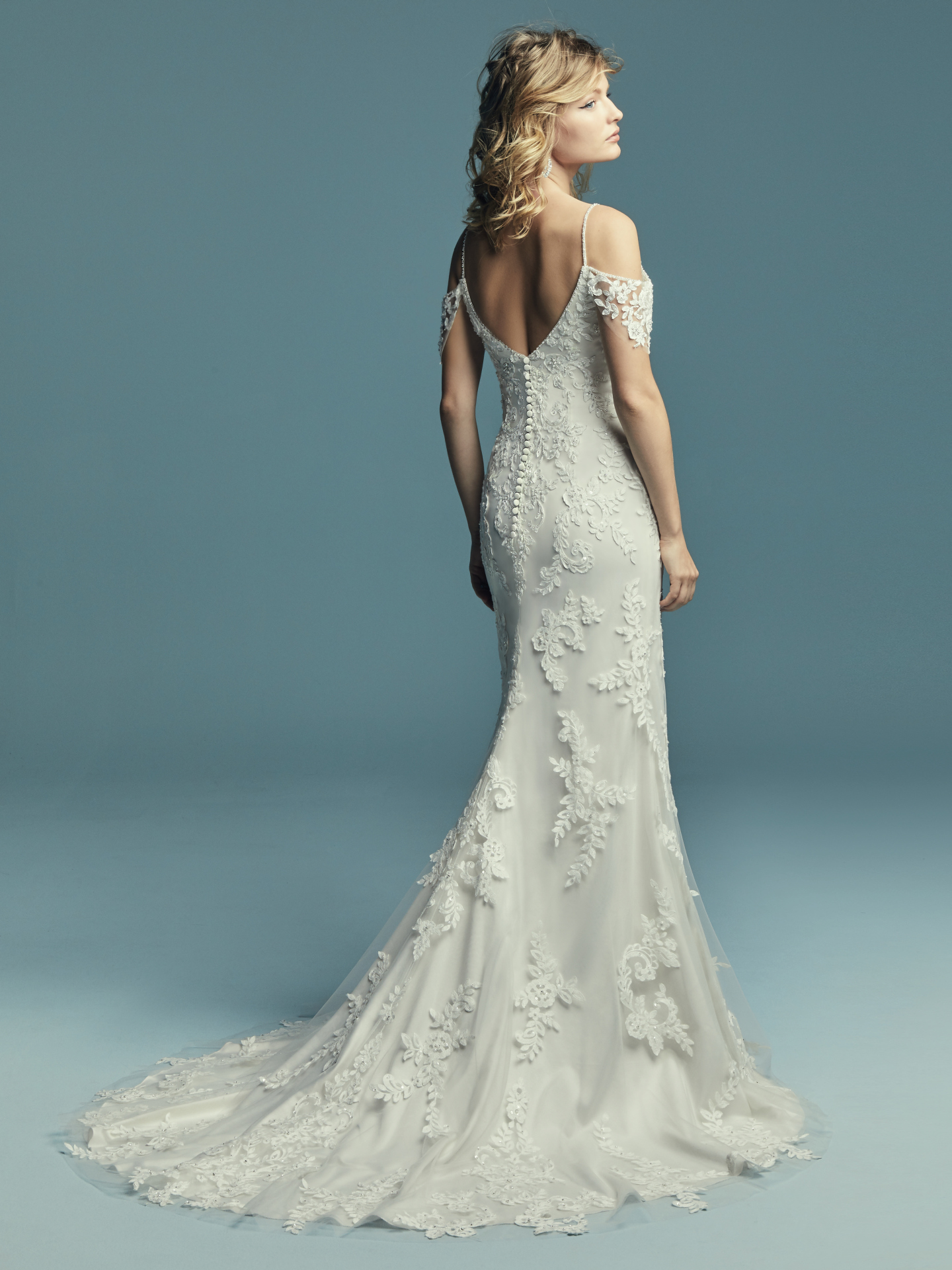Elegant Sleeved Wedding Dresses | Lace, Chiffon & More
