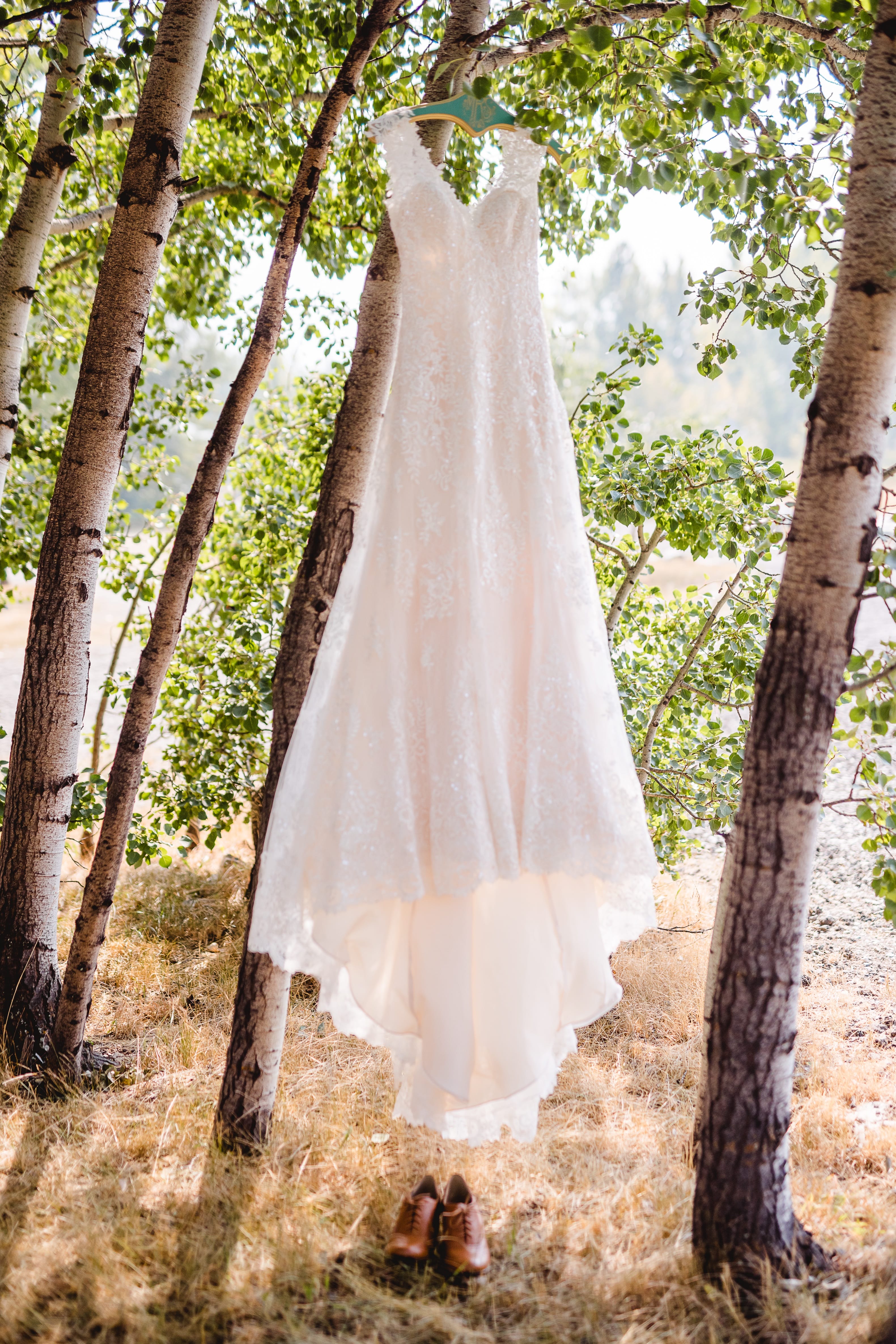 Glacier National Park Elopement: Intimate Ceremony & Romantic Details