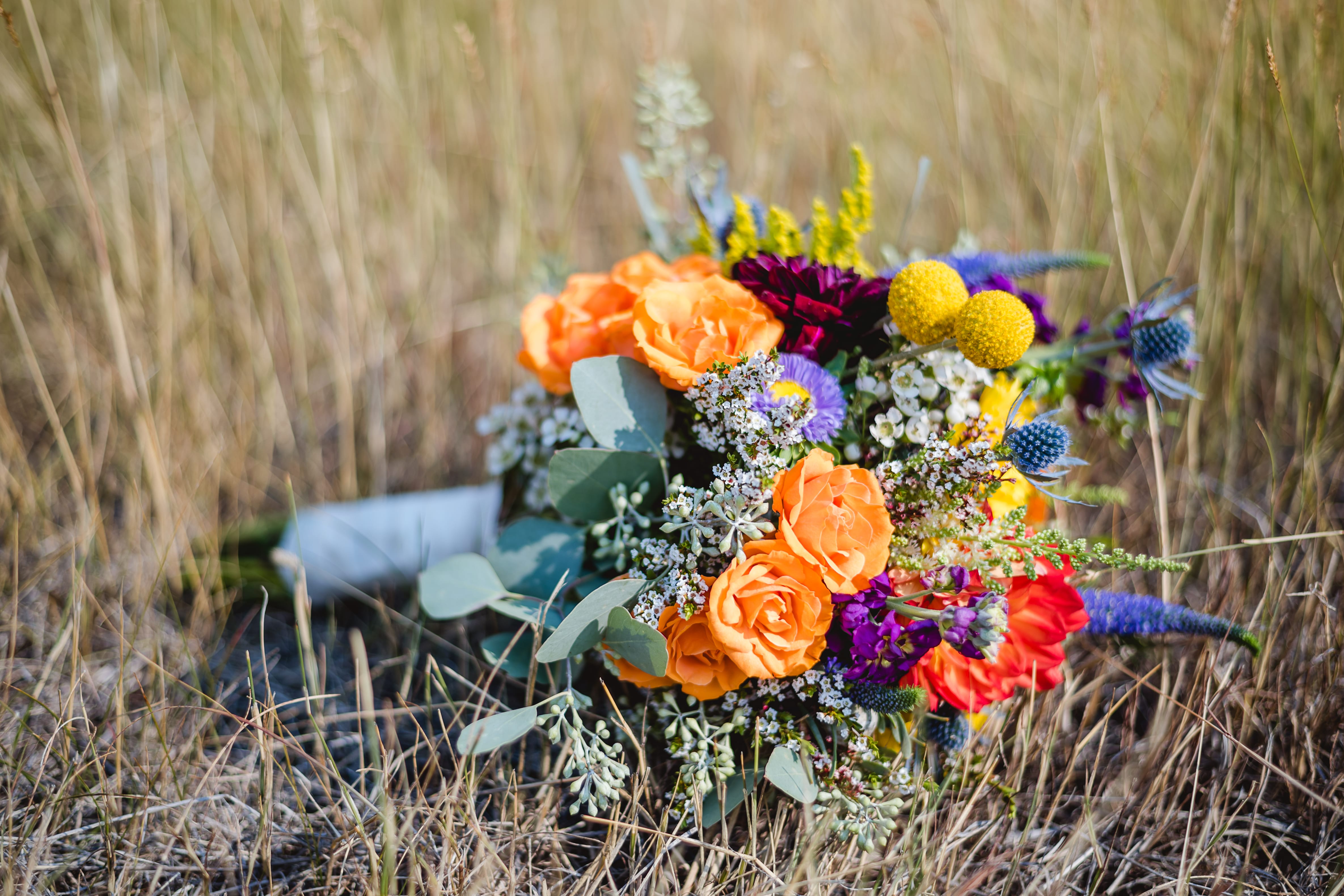 Glacier National Park Elopement: Intimate Ceremony & Romantic Details