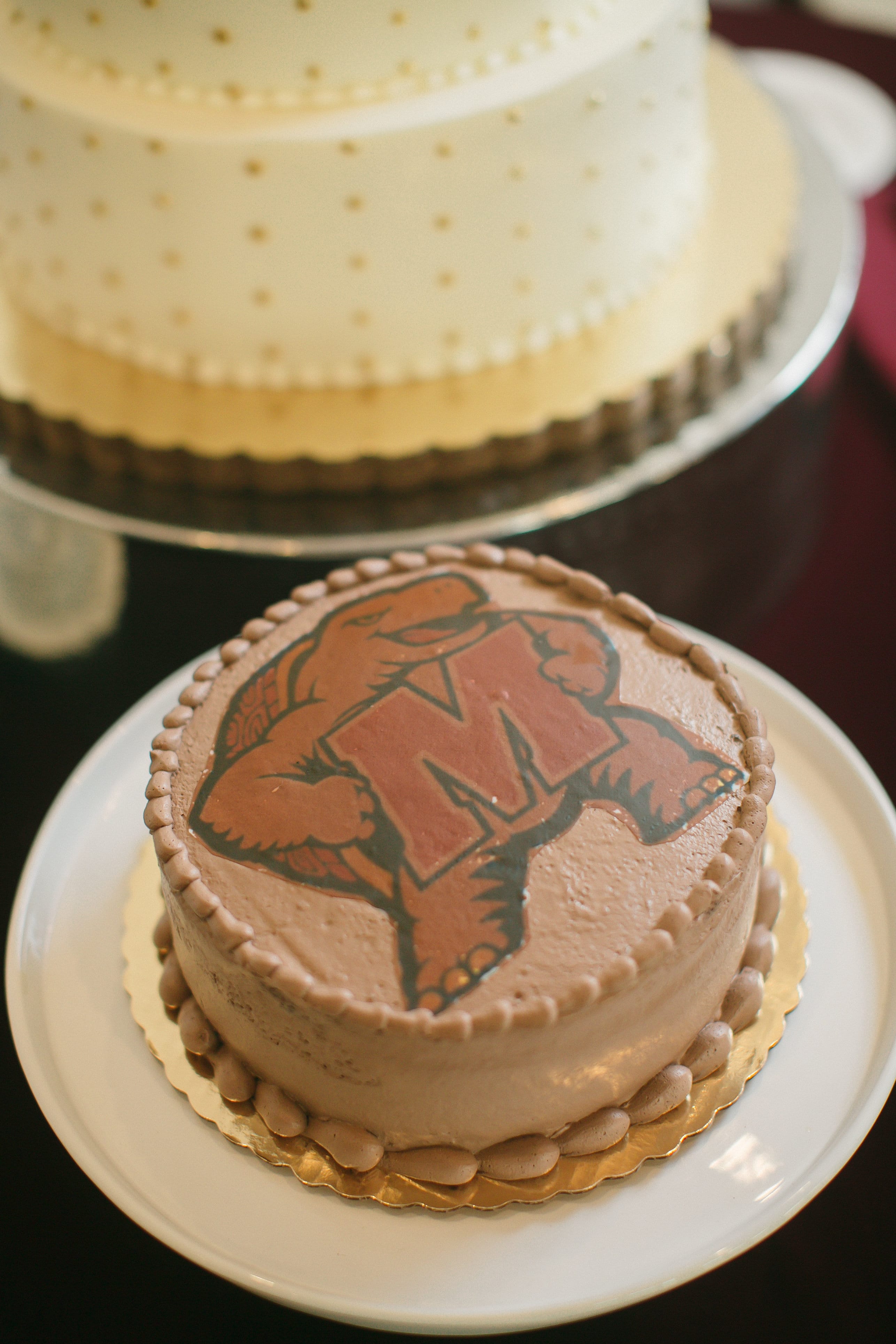 UMD Sweethearts: An Online Dating & College Spirit Wedding