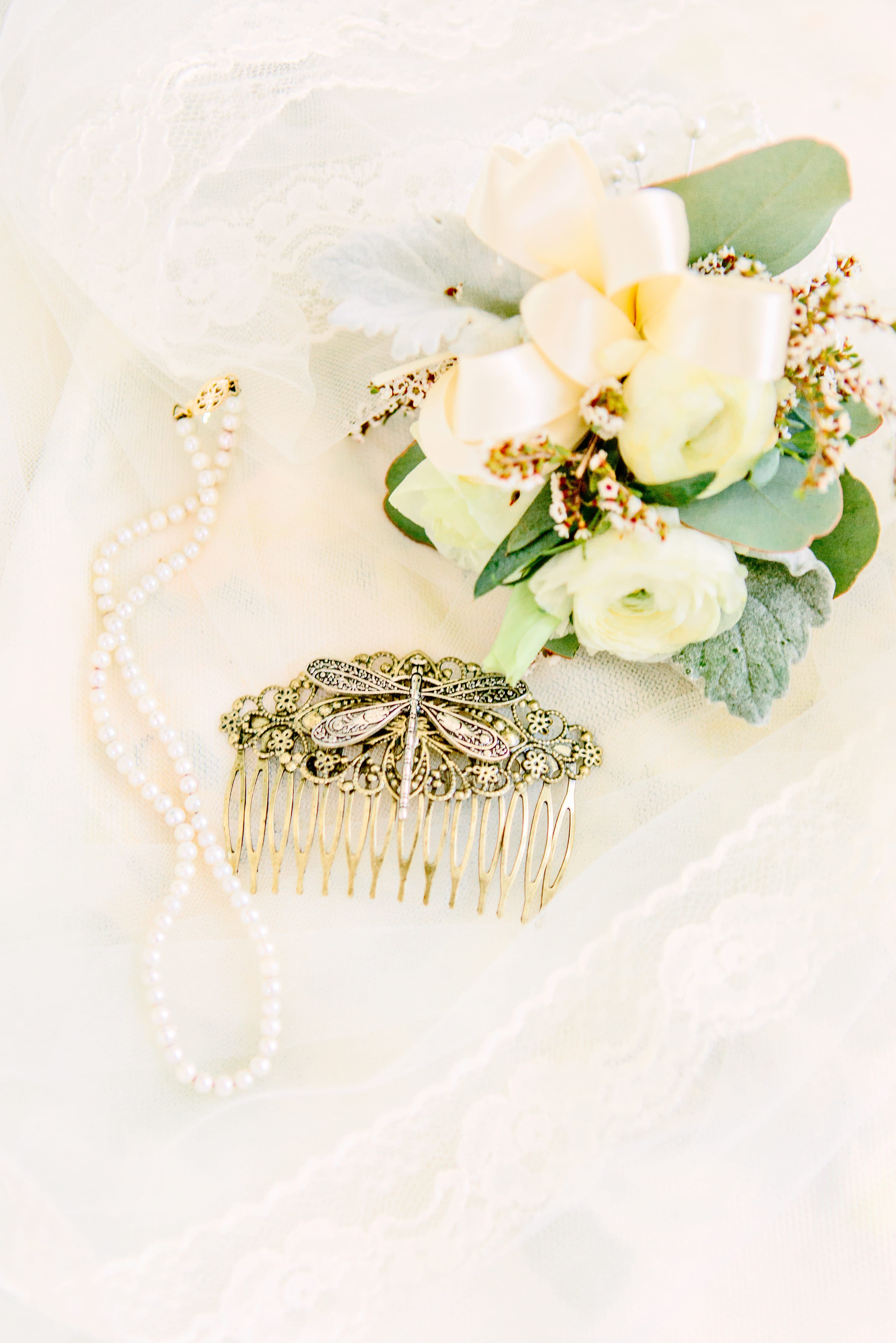Chic Brunch Wedding Inspiration: Soft Lace Gown & Wedding Pup