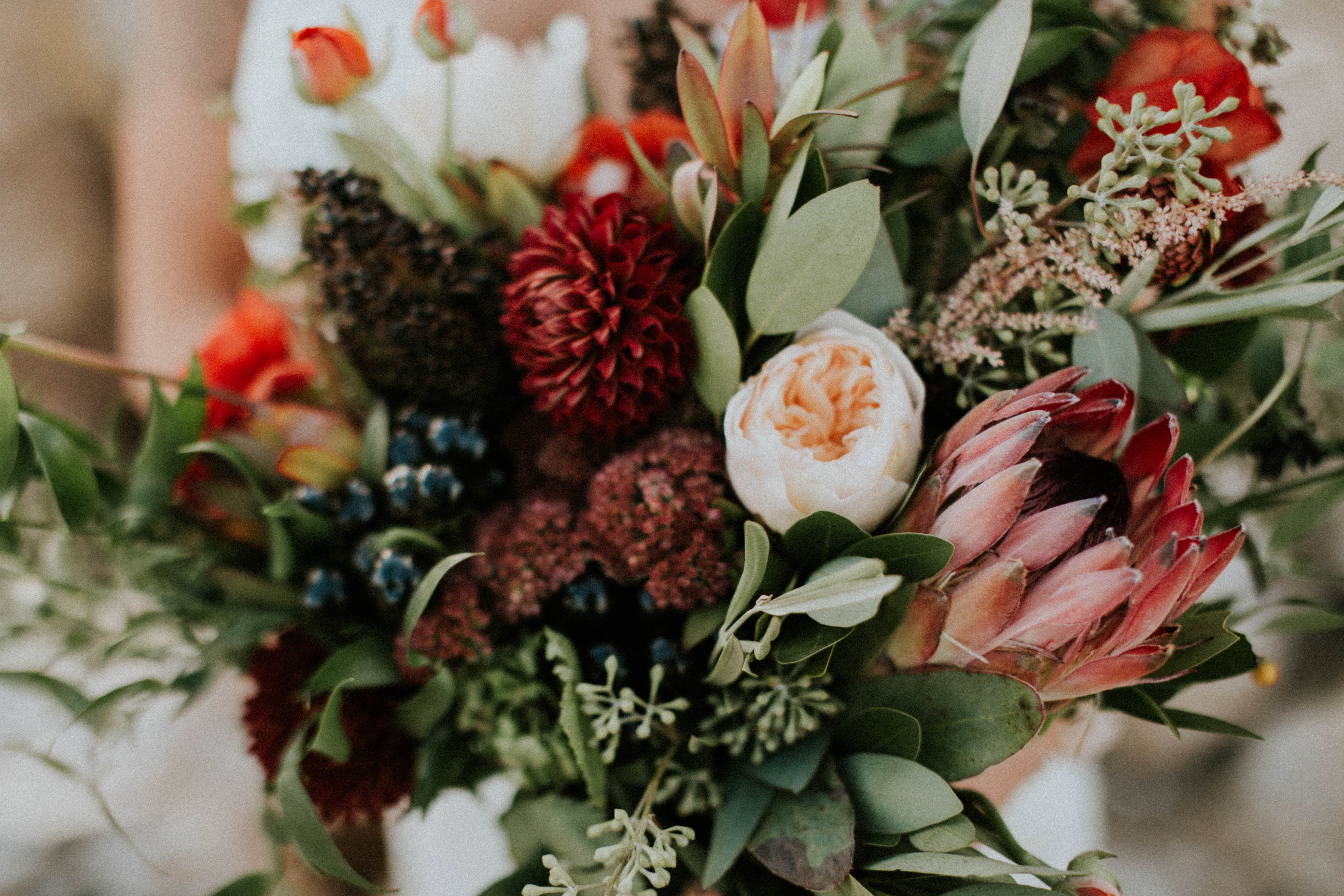 Romantic Lace Wedding Dress: Boho-Chic Styled Shoot & Affordable Options