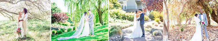 Best Wedding Dates in 2023: Expert Insights & Trends