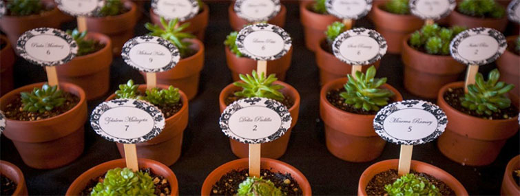 Wedding Guest List: Expert Tips & Strategies