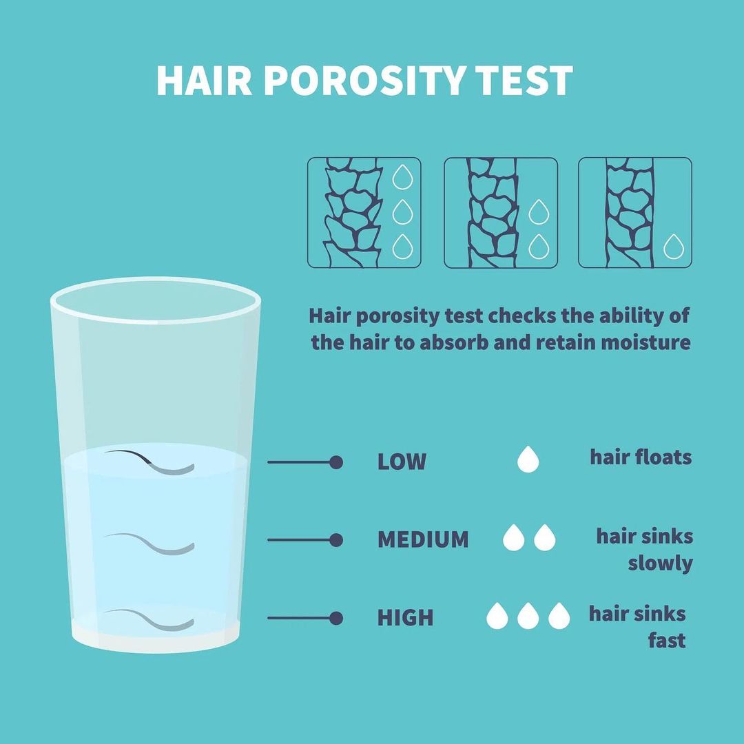 Understanding Hair Porosity: Types, Testing & Care