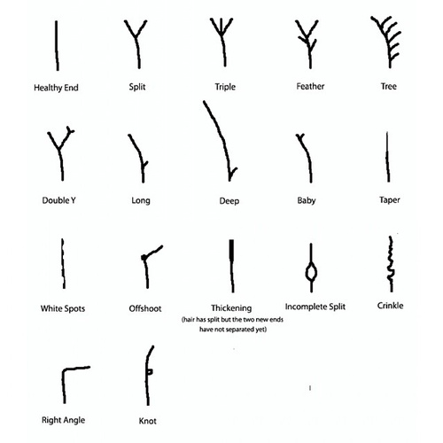 Split Ends: Causes, Treatments & Prevention - A Comprehensive Guide