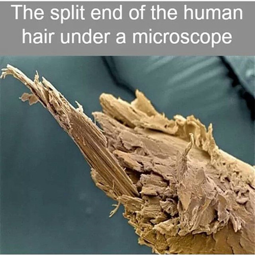 Split Ends: Causes, Treatments & Prevention - A Comprehensive Guide