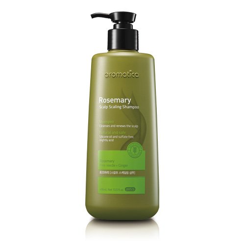 Top Korean Hair Products & Treatments for Healthy, Stylish Hair - 2024 Update
