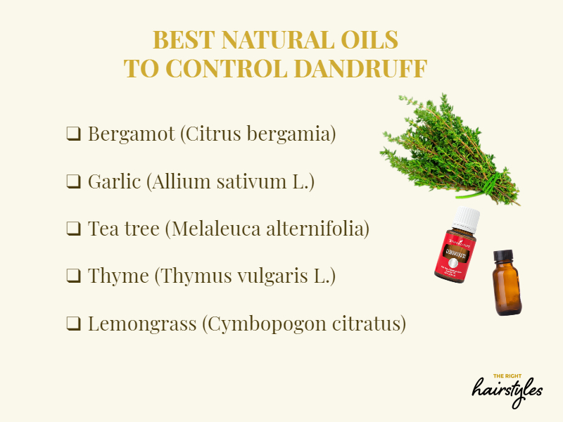 Dandruff vs. Dry Scalp: Understand the Difference & Find Relief