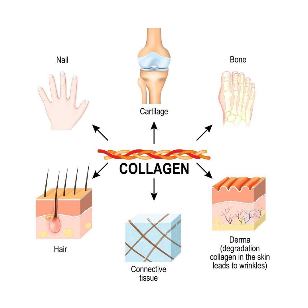 Collagen for Hair: Science-Backed Benefits & Supplement Guide