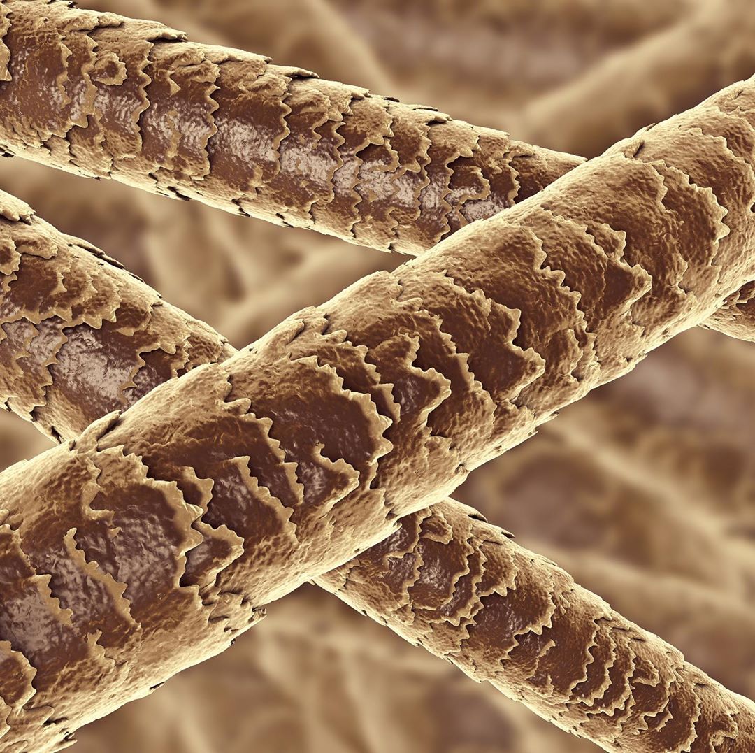 Hair Mineral Analysis: Uncover Hidden Health Insights