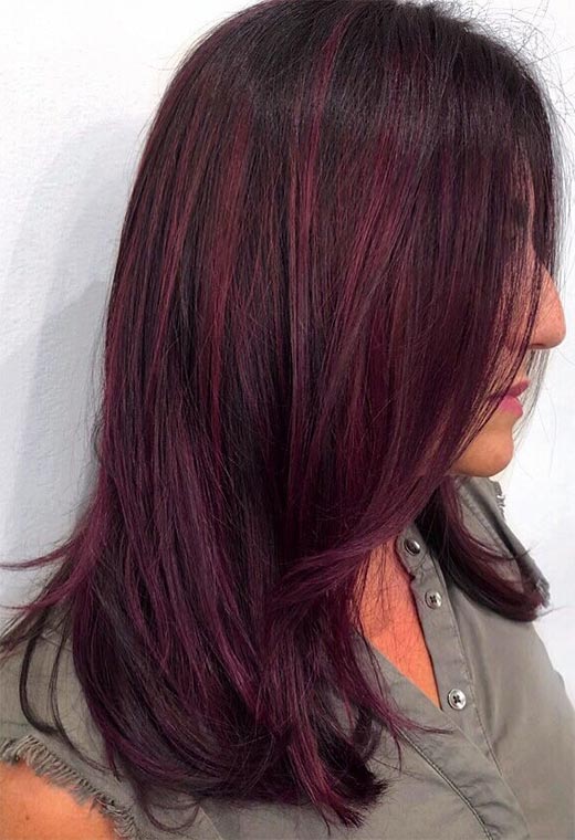 Plum Hair Color: Shades, Ideas & Tips for a Stunning Transformation