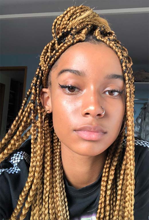 Box Braids: Styles, Care & Inspiration | A Comprehensive Guide