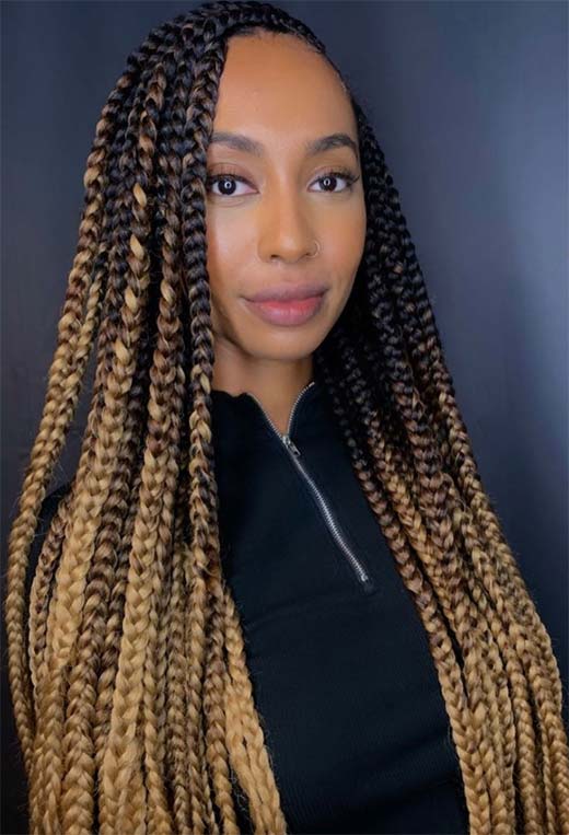 Box Braids: Styles, Care & Inspiration | A Comprehensive Guide