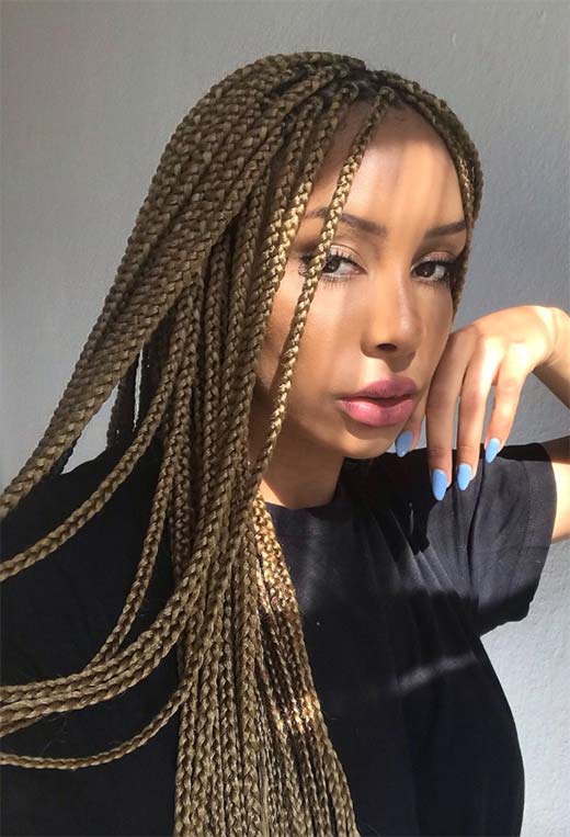 Box Braids: Styles, Care & Inspiration | A Comprehensive Guide