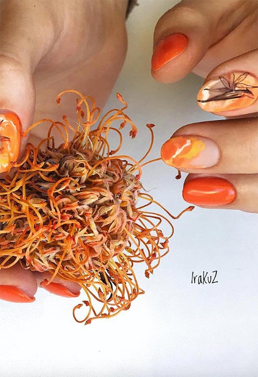 71 Stunning Fall Nail Designs for Autumn 2024