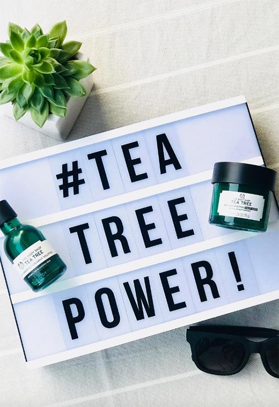 Tea Tree Oil for Acne: A Comprehensive Guide to Benefits, Risks & Effective Use