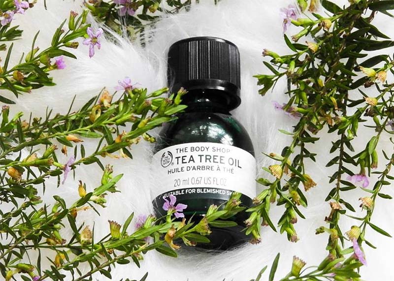 Tea Tree Oil for Acne: A Comprehensive Guide to Benefits, Risks & Effective Use