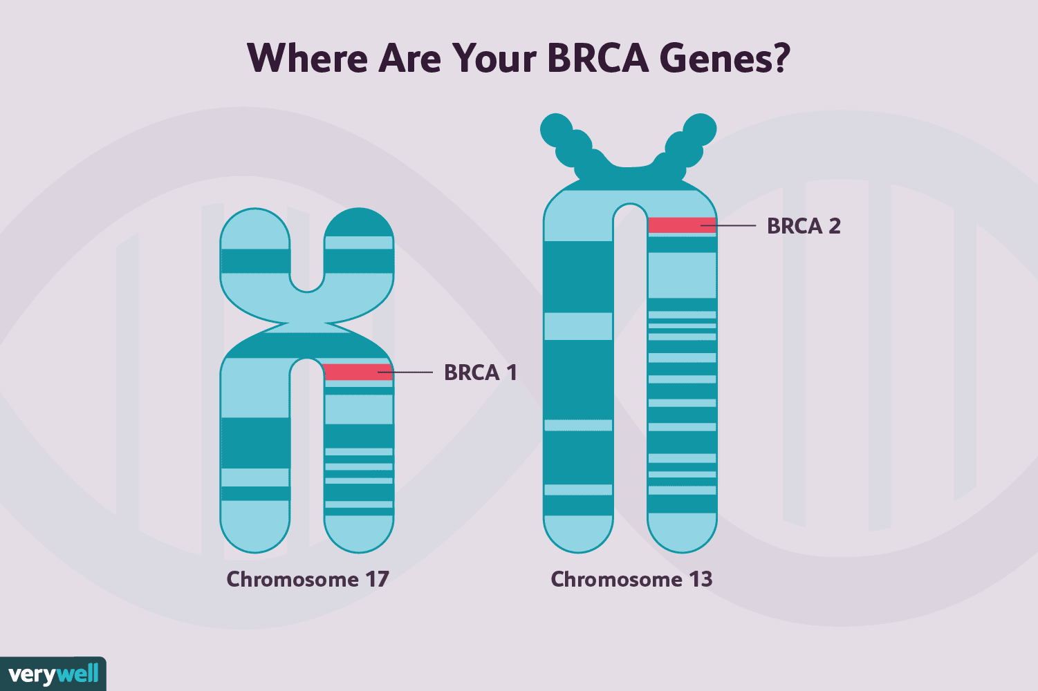 BRCA Mutations & Breast Cancer Risk: Understanding Your Options