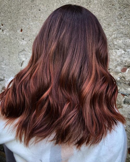 Chestnut Brown Hair Colors: Shades & Styling Tips | [Your Brand Name]