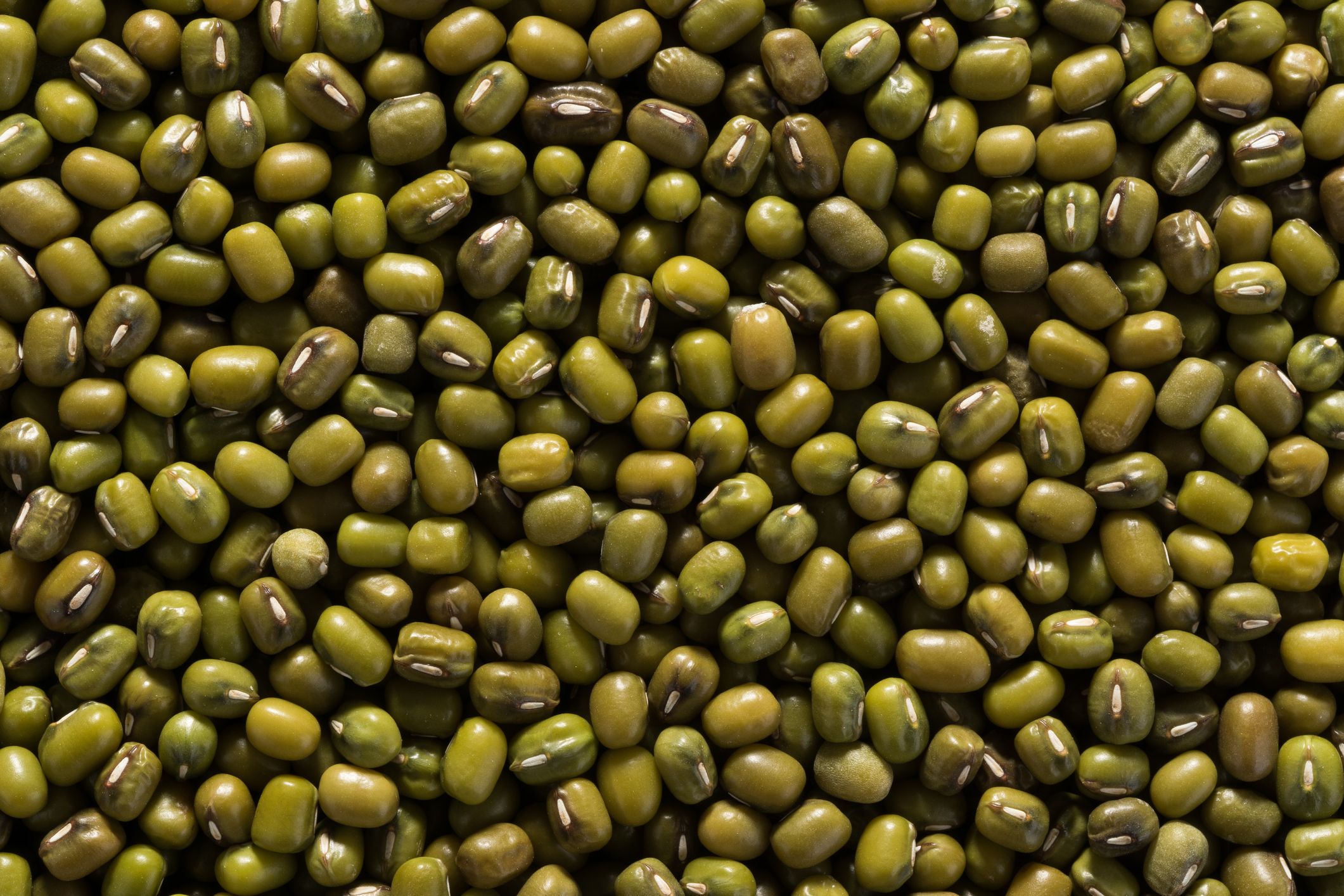 High-Protein Vegetables: A Dietitian-Approved List for Plant-Based Eating