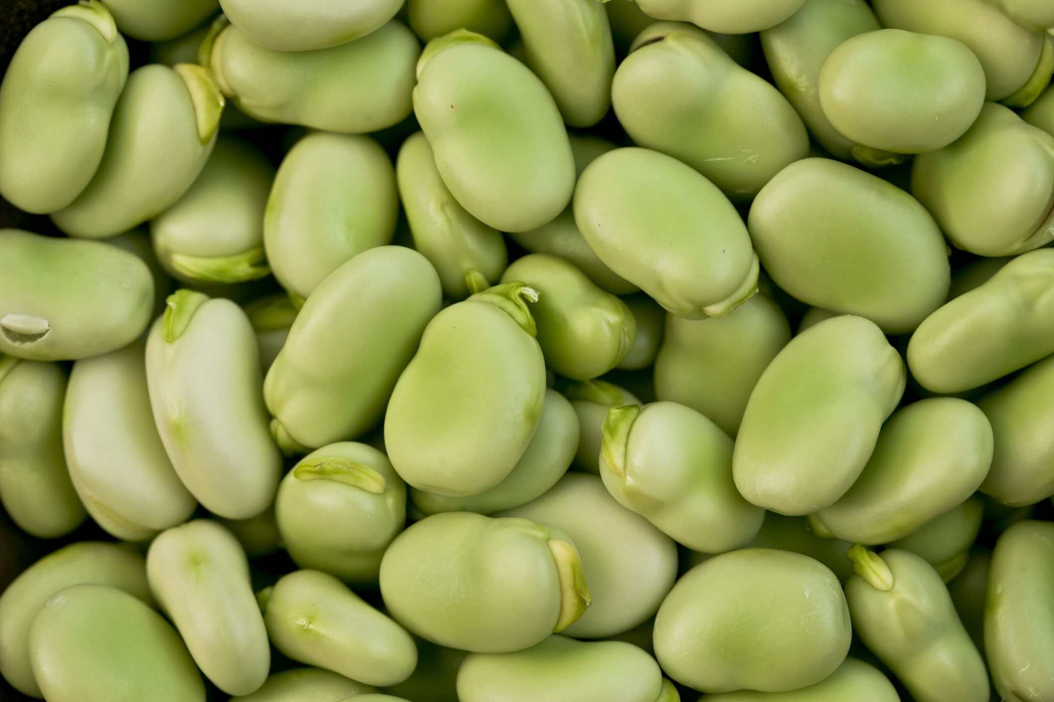 High-Protein Vegetables: A Dietitian-Approved List for Plant-Based Eating