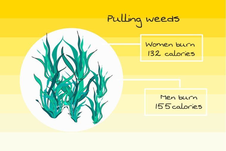 Calorie Burn from Spring Cleaning: How Many Calories Do Your Chores Burn?
