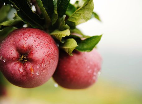 25 Delicious Ways to Incorporate Complex Carbohydrates Into Your Diet