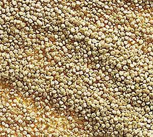 Fat-Burning Foods: 13 Natural Ways to Support Weight Loss