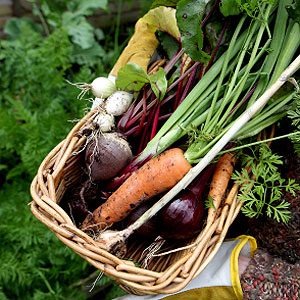 Global Strategies for Weight Management: 19 Cultural Insights