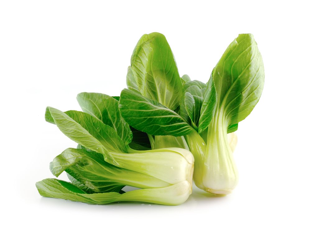 Calcium-Rich Foods for Weight Management & Health