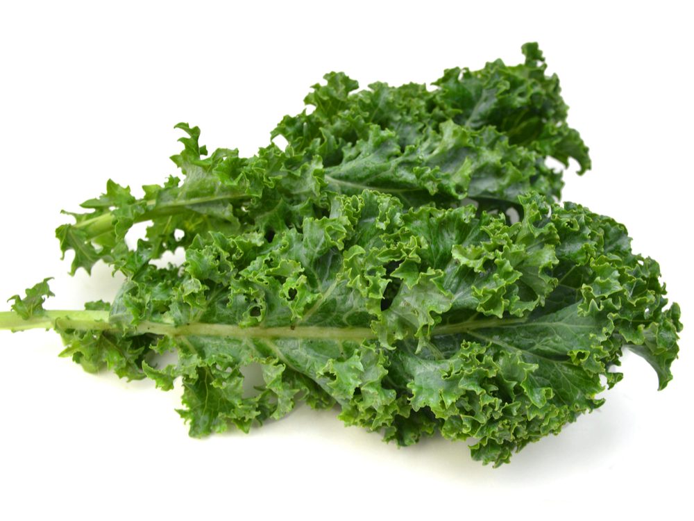 Calcium-Rich Foods for Weight Management & Health