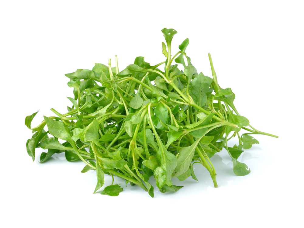 Calcium-Rich Foods for Weight Management & Health