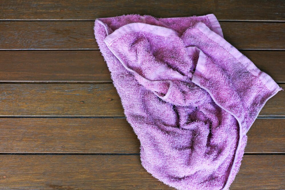 Hidden Germs: 11 Everyday Items You Need to Wash More Often