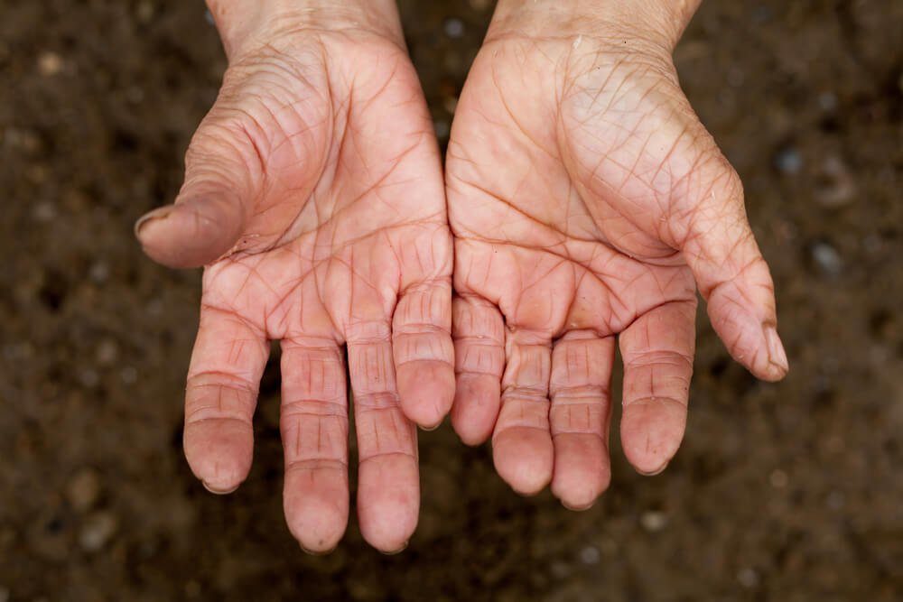 Hidden Germs: 11 Everyday Items You Need to Wash More Often