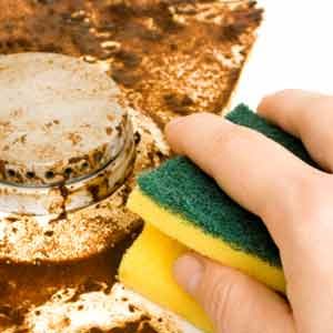 Extend Your Stove s Life: 6 Essential Cleaning & Maintenance Tips