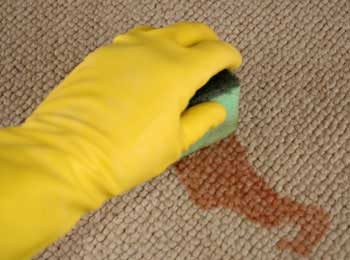 Expert Tips for a Spotless Home: A Comprehensive Cleaning Guide
