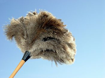 Expert Tips for a Spotless Home: A Comprehensive Cleaning Guide