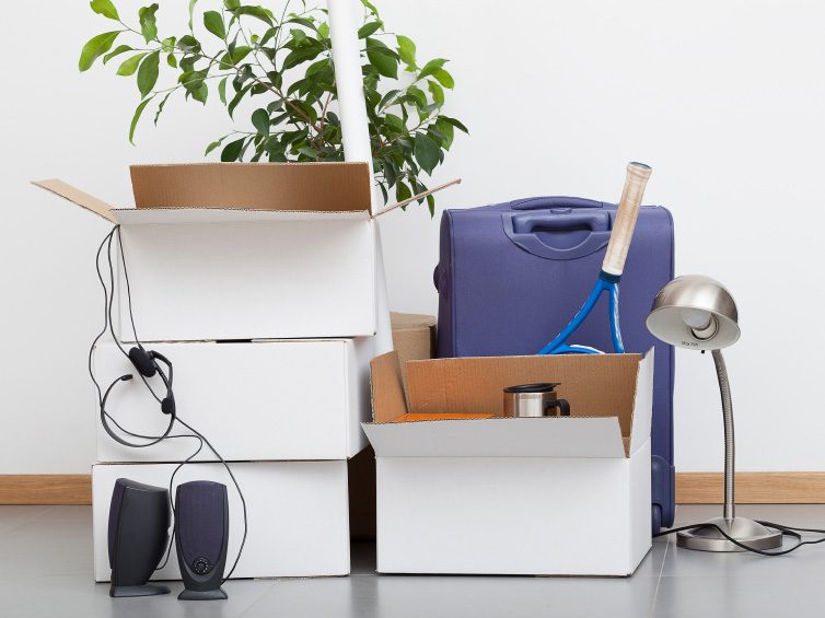 Minimalist Home Organization: Declutter & Simplify Your Space