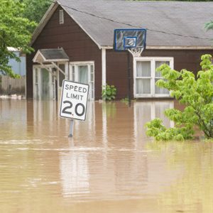 Flood Recovery: Essential Steps to Take After Water Damage