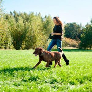 Reclaim Your Time: 4 Simple Chore-Busting Strategies