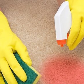 Effective Stain Removal Guide: Quick Tips for Common Stains