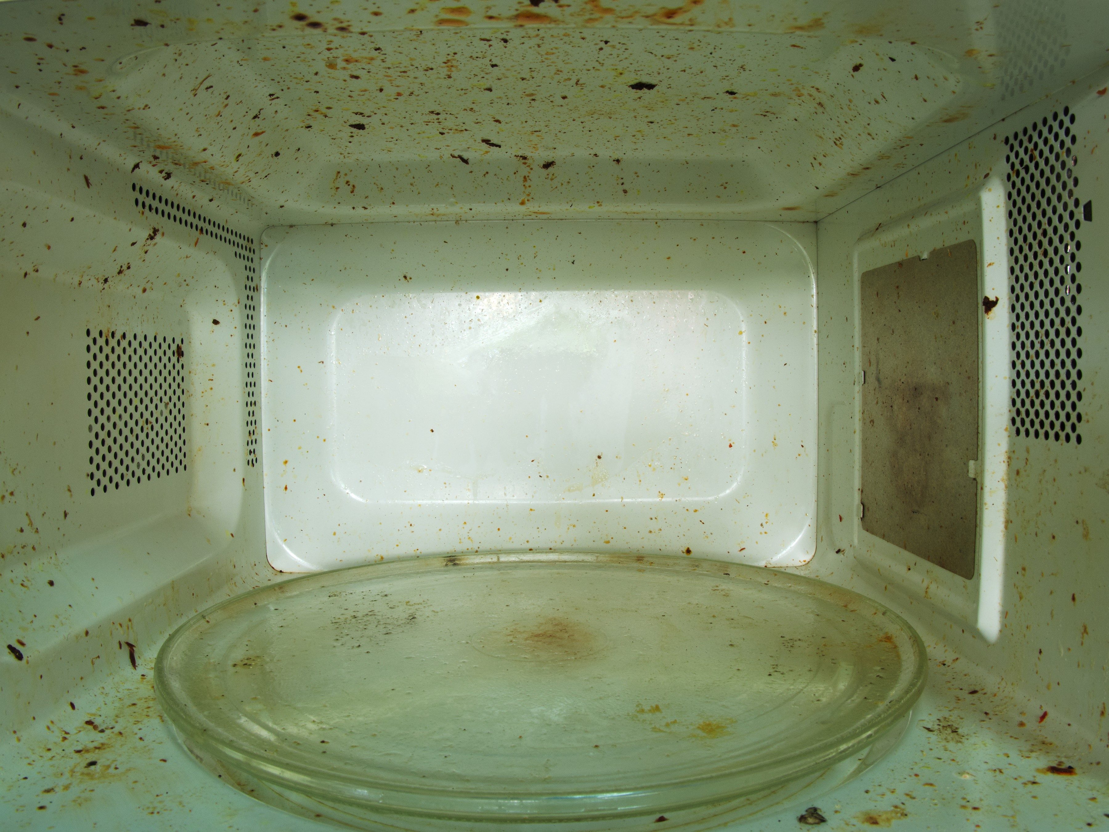 Effortless Cleaning: Simple Steps for Microwave, Stovetop & Oven