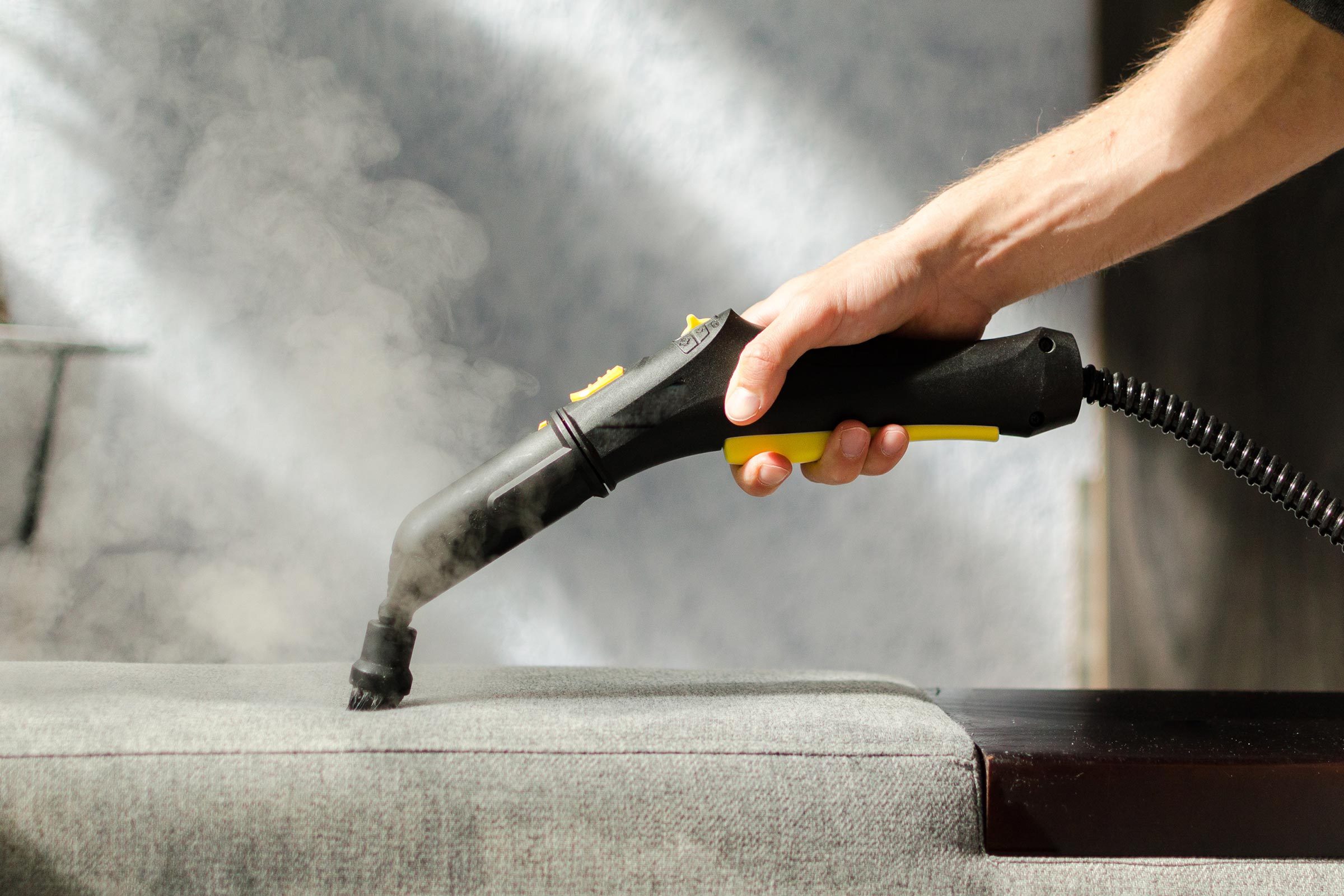 Quick & Easy Cat Puke Cleanup: A Step-by-Step Guide