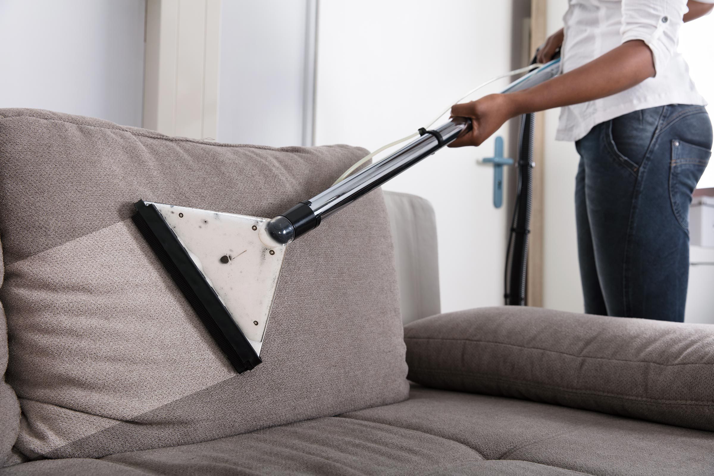 Quick & Easy Cat Puke Cleanup: A Step-by-Step Guide
