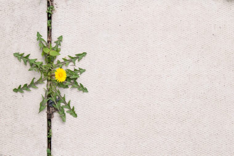 DIY Cleaning Recipes: 12 Effective & Natural Household Cleaners