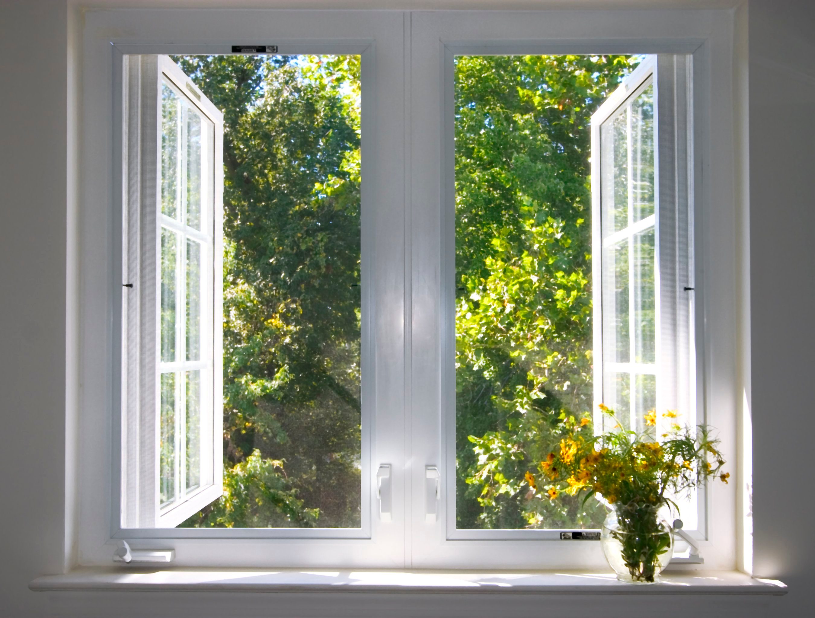 Effective House Cleaning for Health & Germ Prevention | [Your Brand]