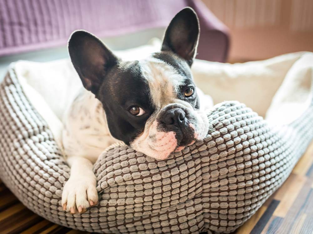 Unexpected Laundry Hacks: 15 Items You Can Safely Wash