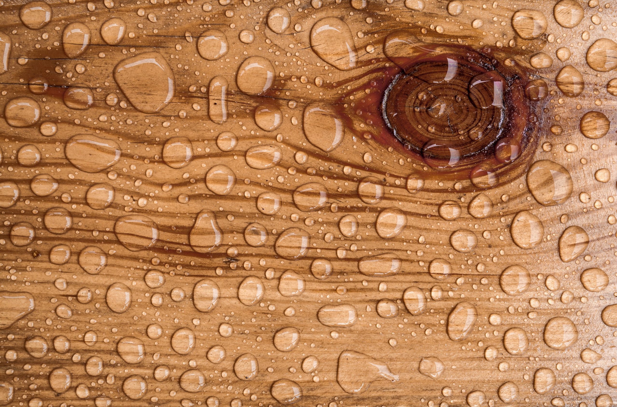 Protect Your Hardwood Floors: 8 Essential Maintenance Tips