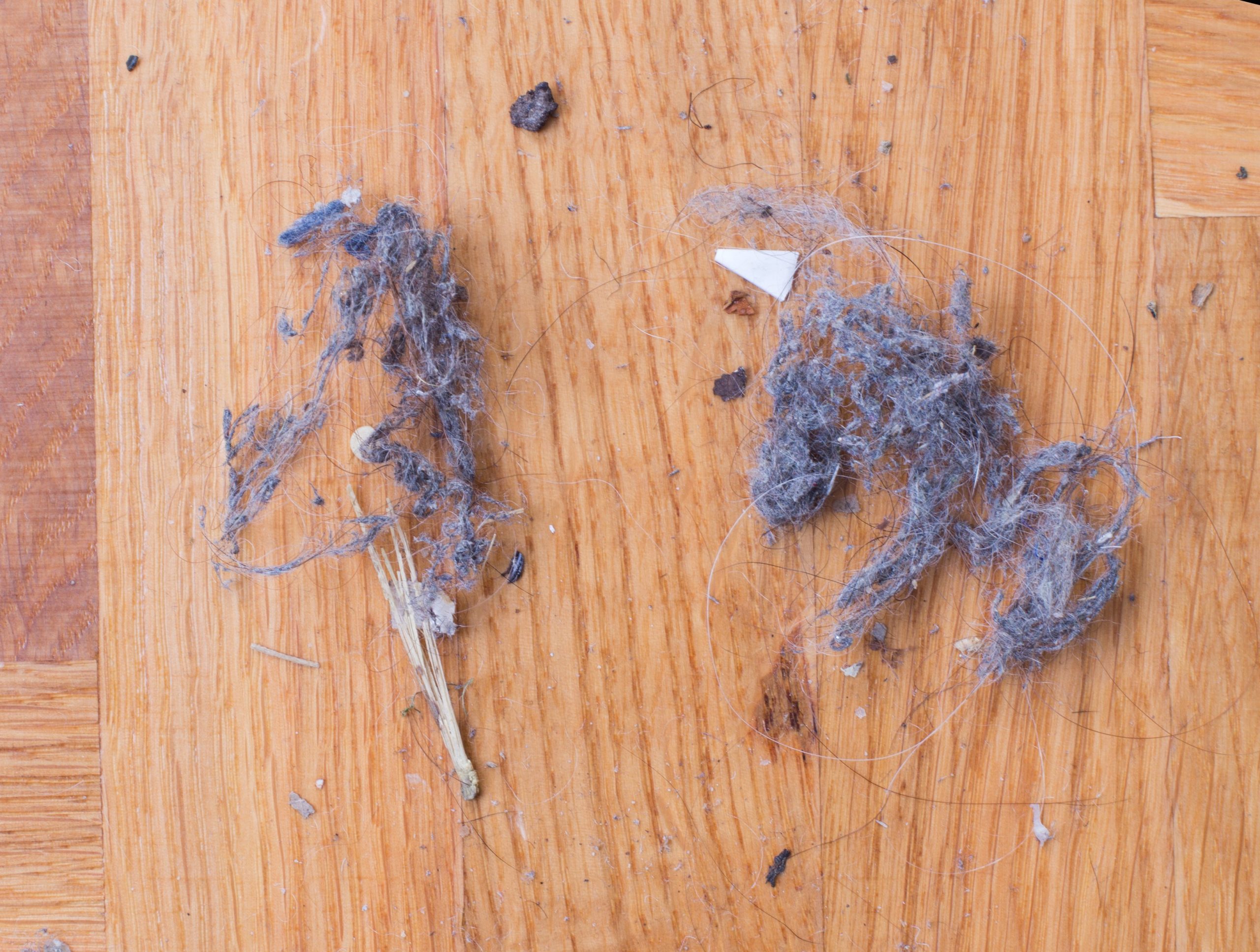Protect Your Hardwood Floors: 8 Essential Maintenance Tips
